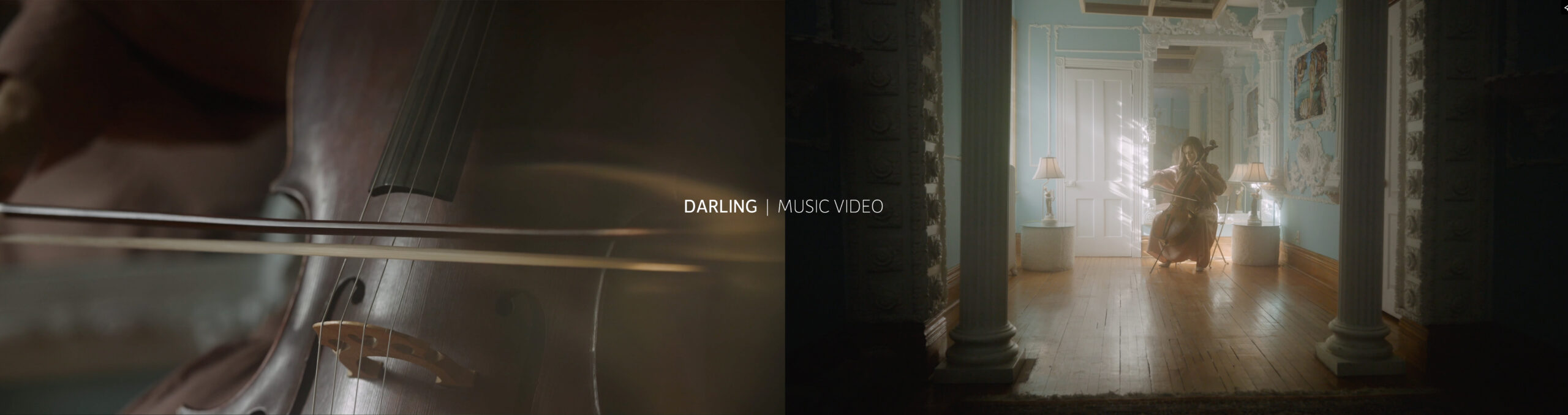 DARLING | DARYA ZONOOZI
