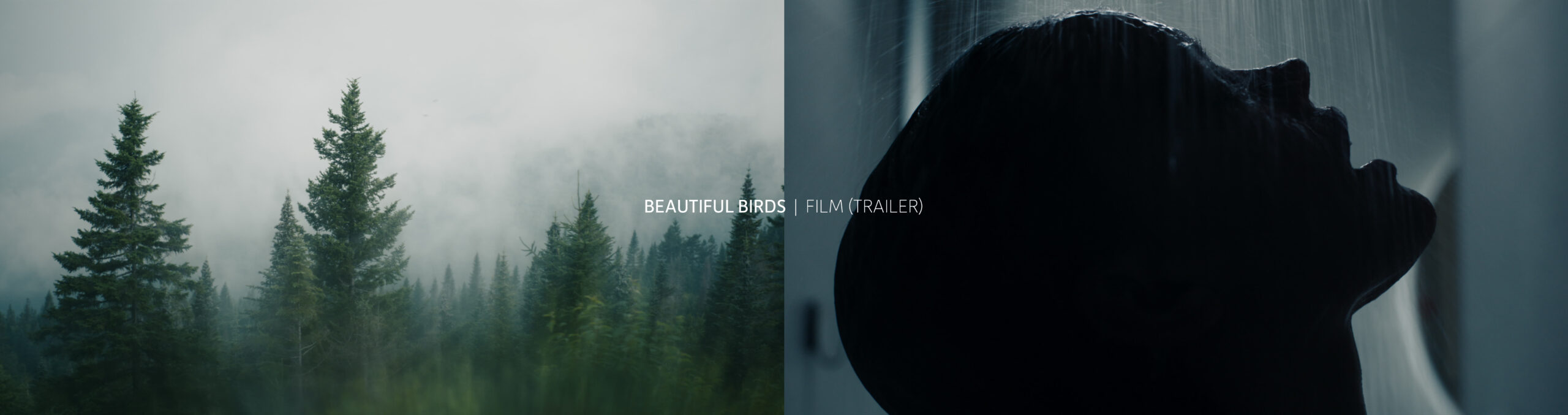 BEAUTIFUL BIRDS TRAILER